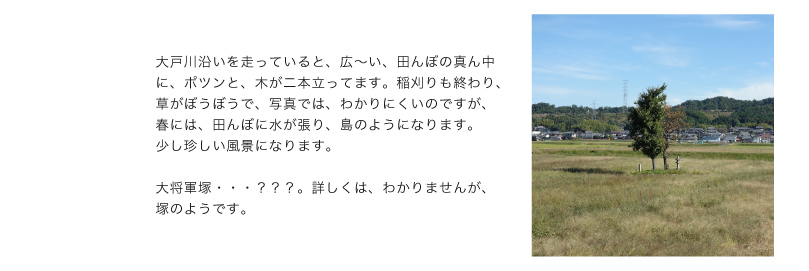 瀬田の唐橋から信楽サイクリング1-10